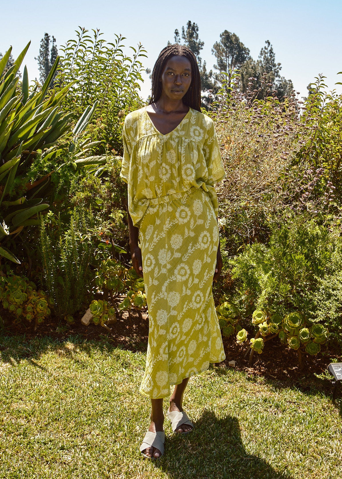 aloe