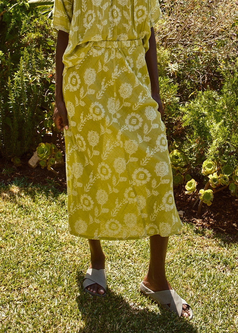 aloe