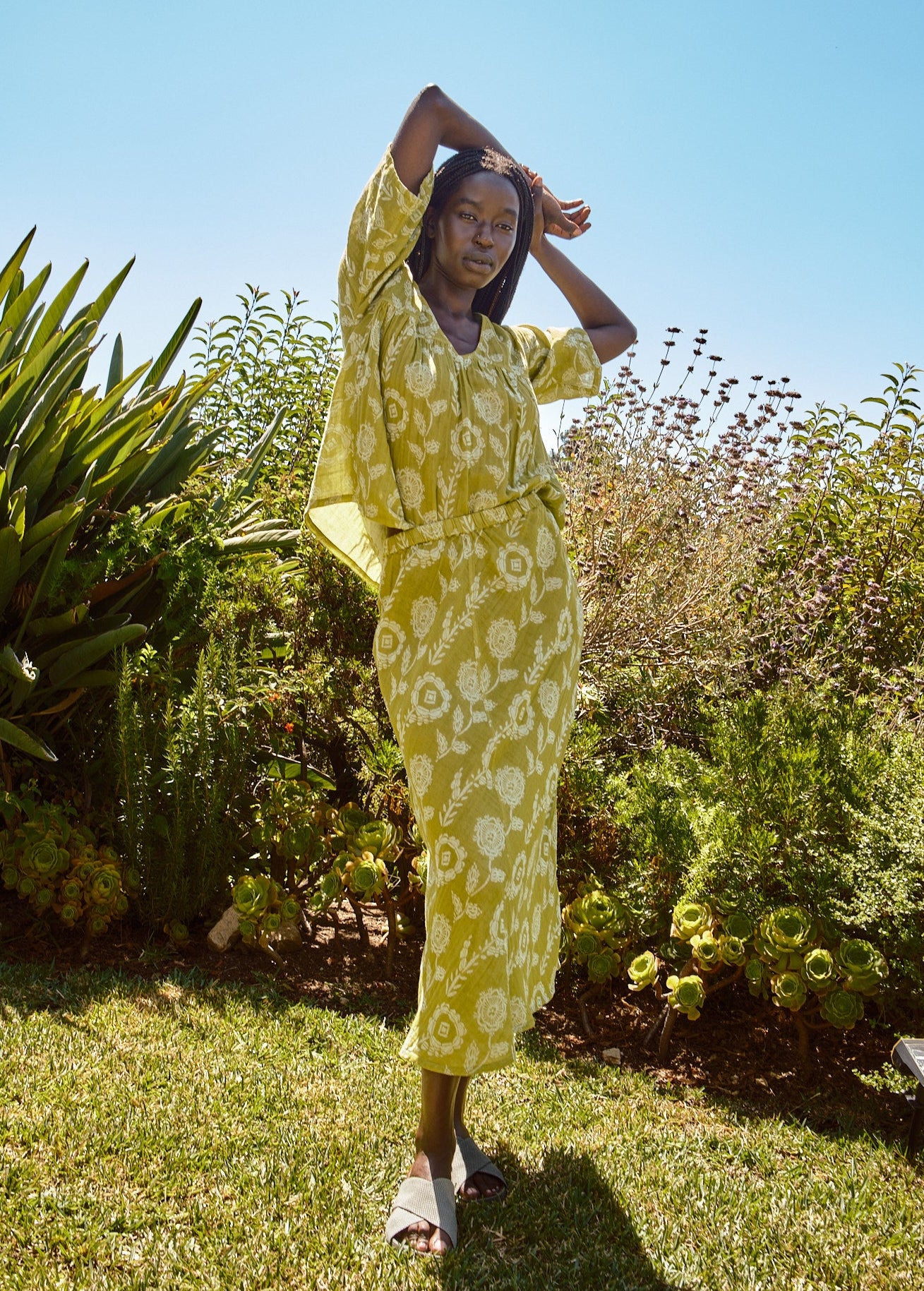 aloe
