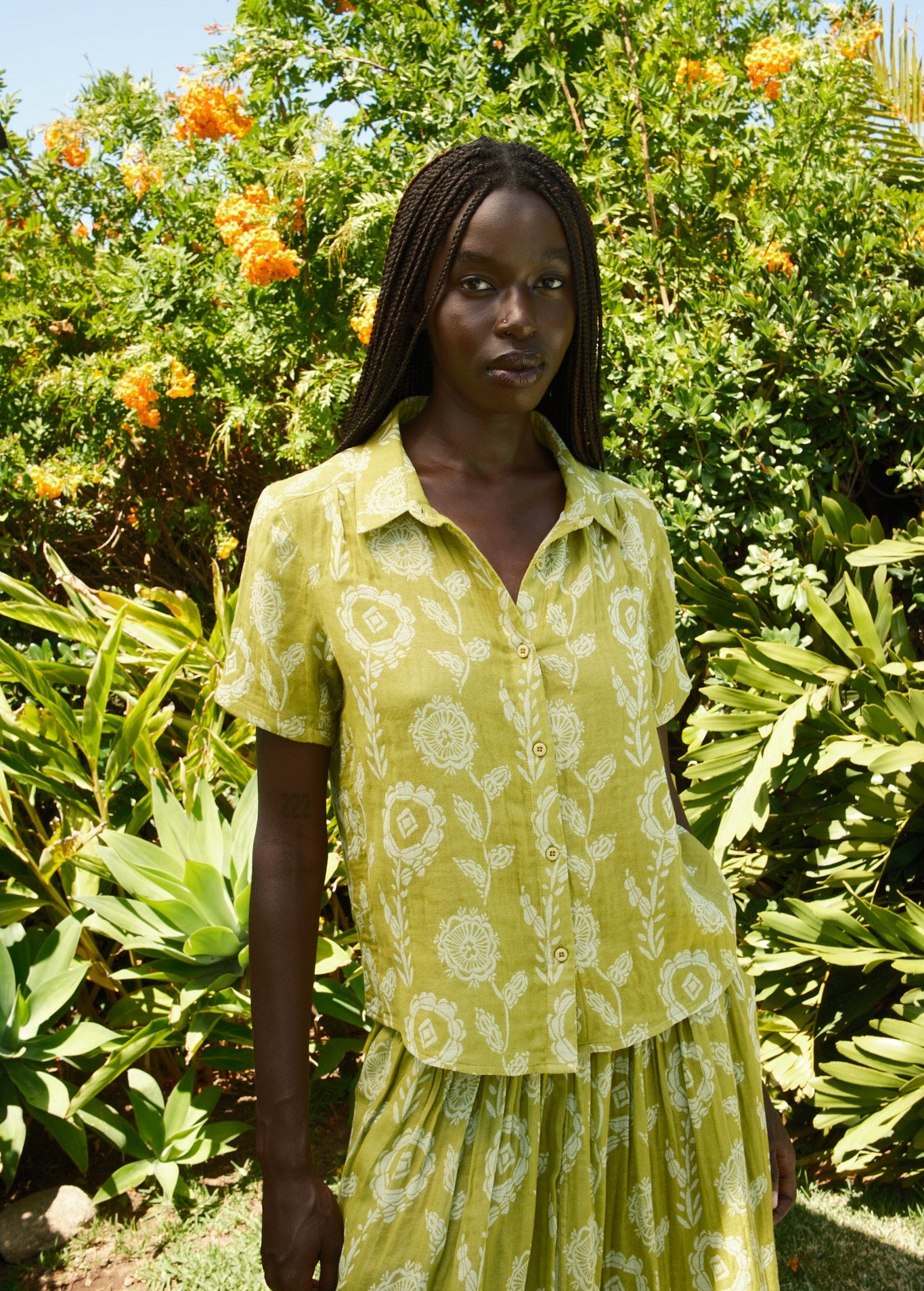 aloe