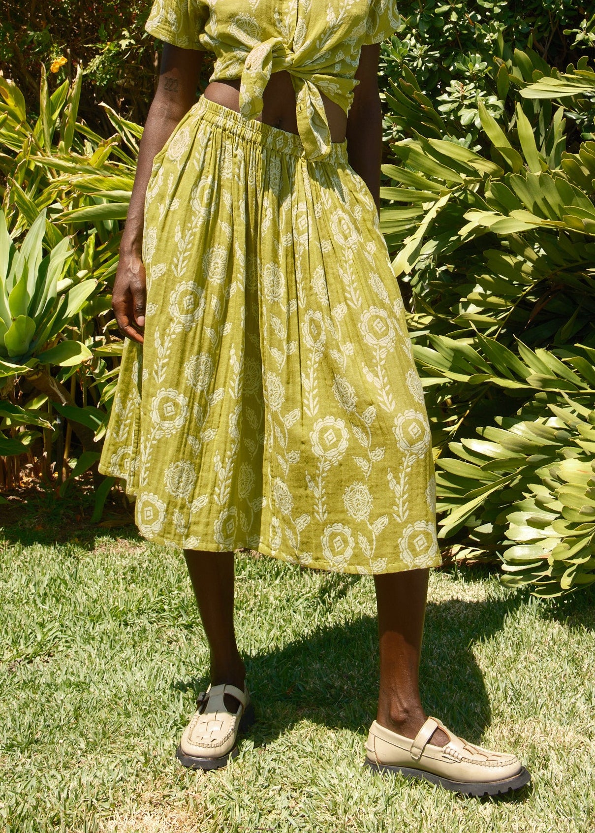 aloe
