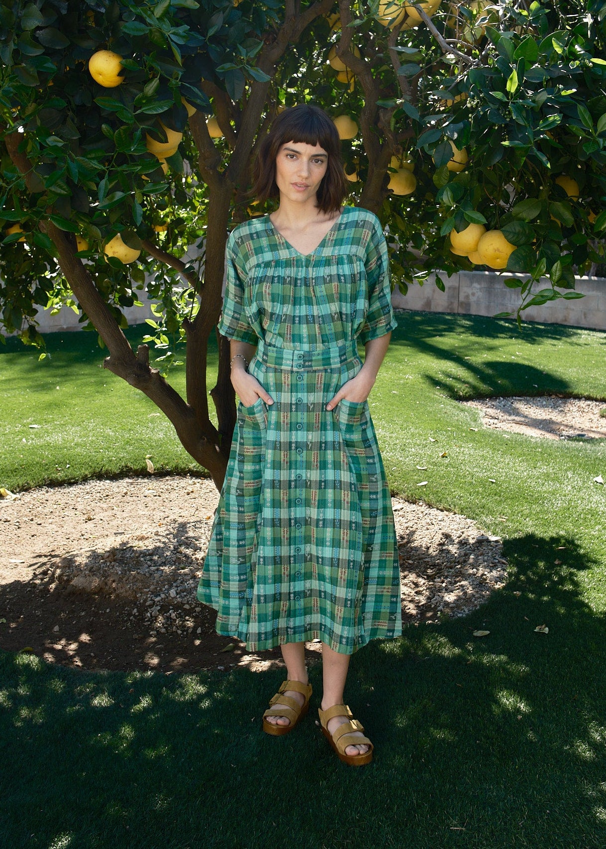 garden