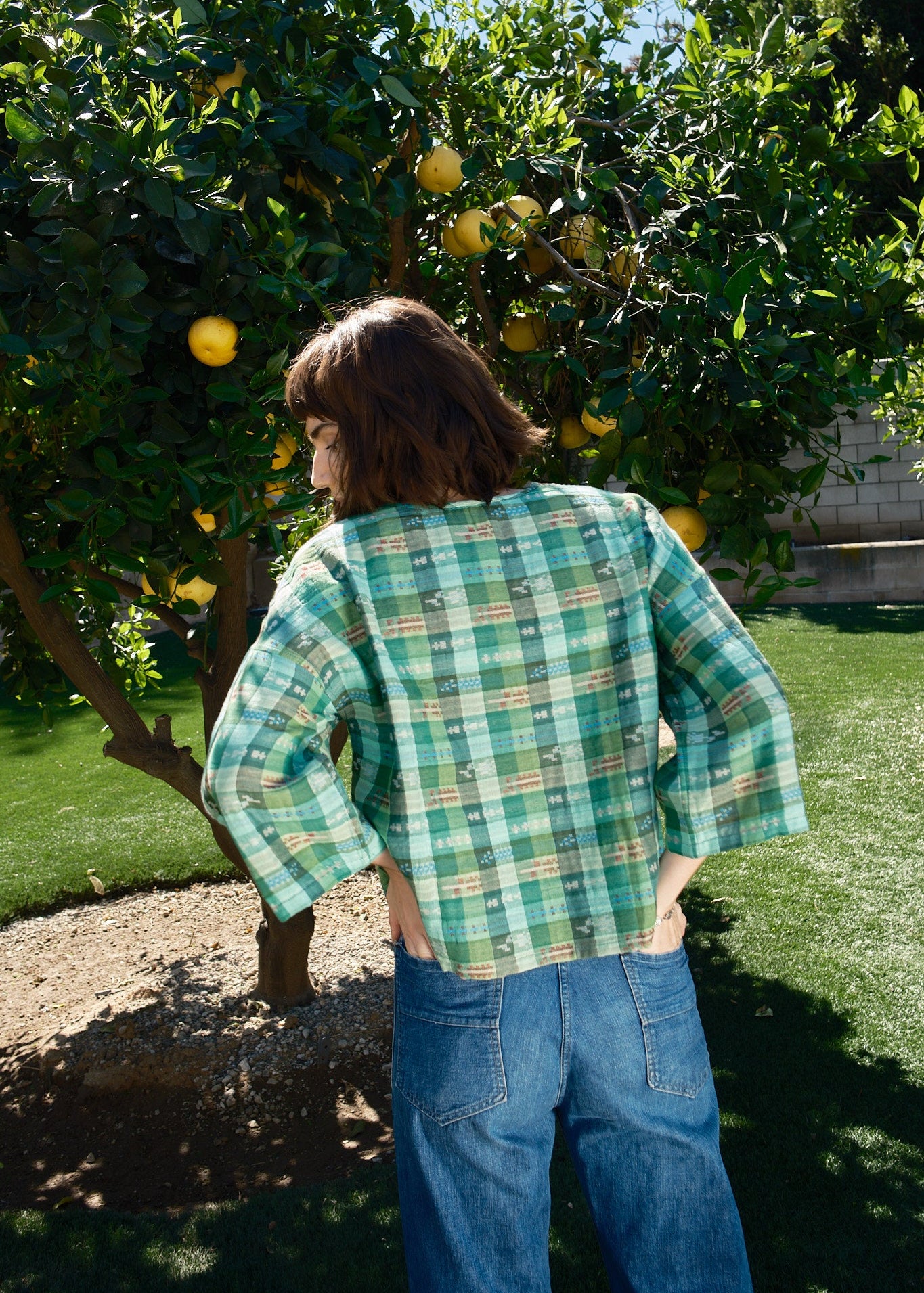 garden