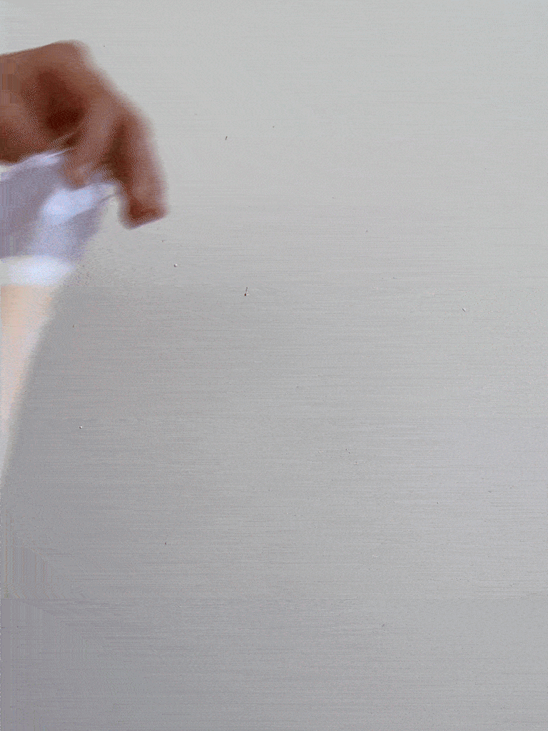 meringue
